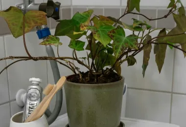 A real home laundry surface with a washing machine and care supplies