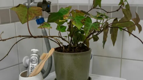 A real home laundry surface with a washing machine and care supplies
