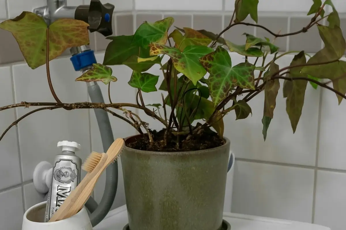A winter laundry scene used for seasonal bedding cleaning timing