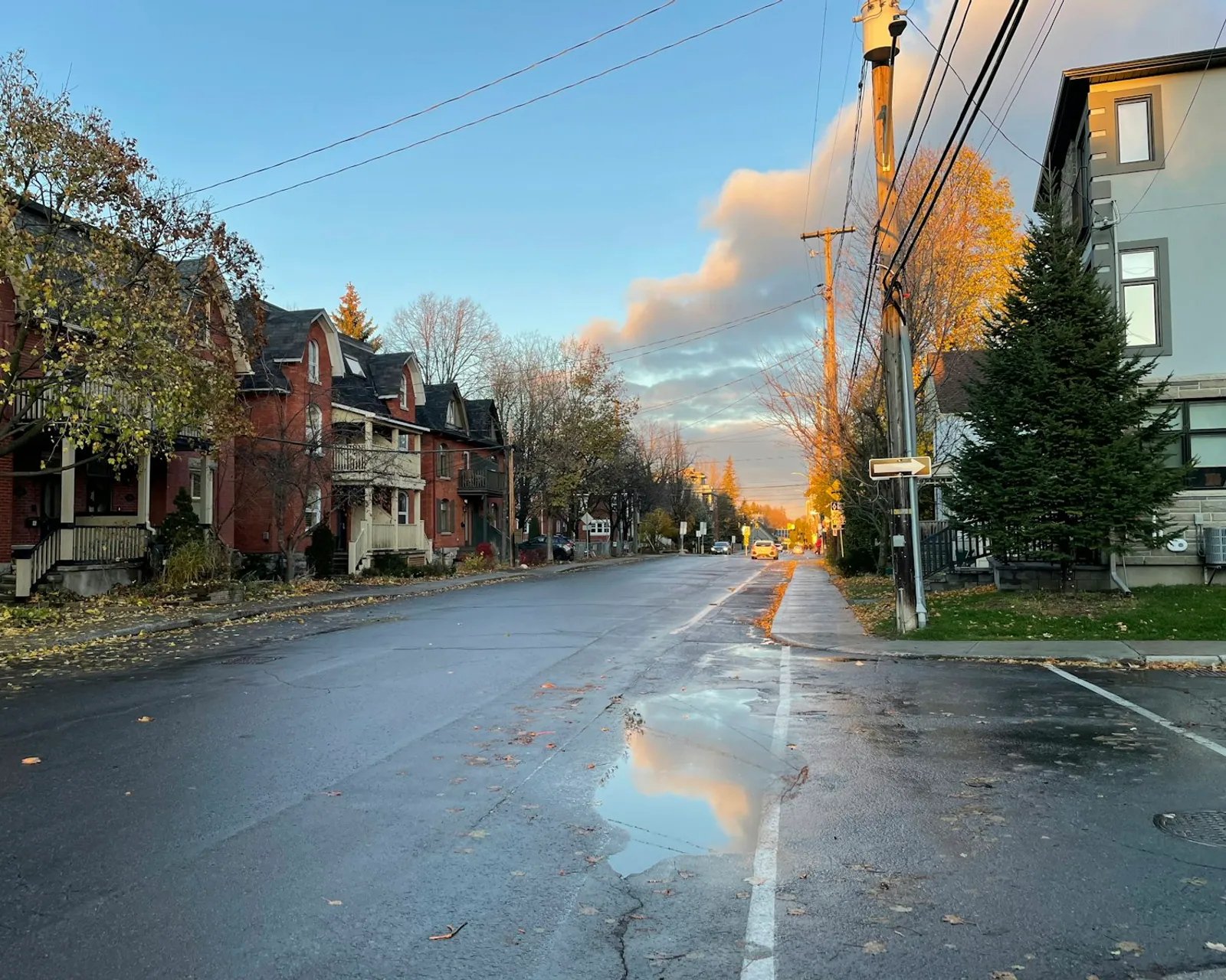 A residential Ottawa street under bright morning light.